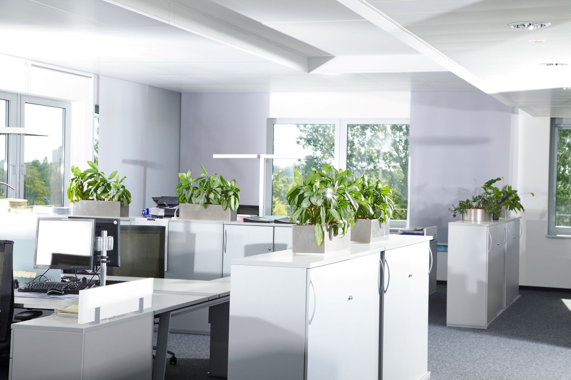 Resume Writing Services Bunkers Hill VIC